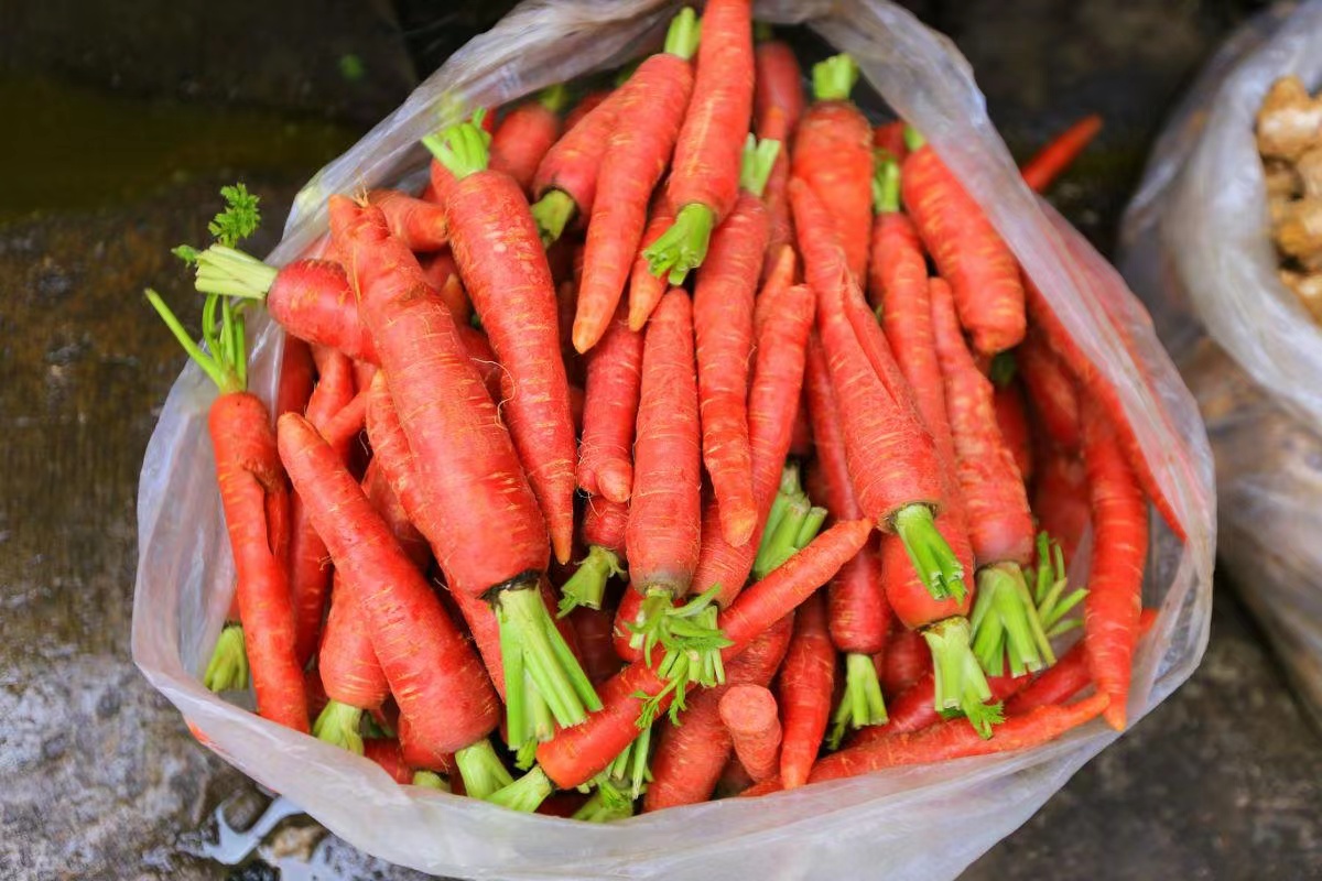 1601644154356_.pic.jpg 1601644154356_.pic.jpg