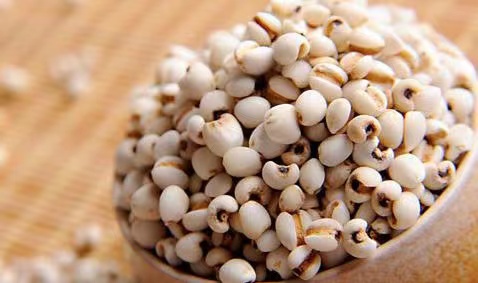 1571644154354_.pic.jpg 1571644154354_.pic.jpg